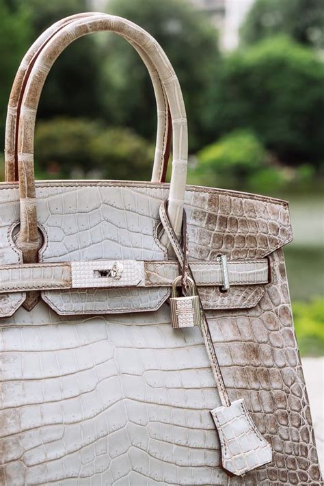 hermes birkin himalaya|hermes himalayan birkin owners.